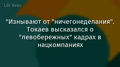 "Изнывают от "ничегонеделания". Токаев высказался о "левобережных" кадрах в нацкомпаниях