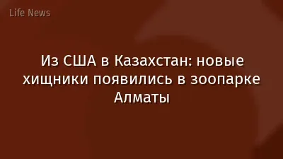 Из США в Казахстан: новые хищники появились в зоопарке Алматы