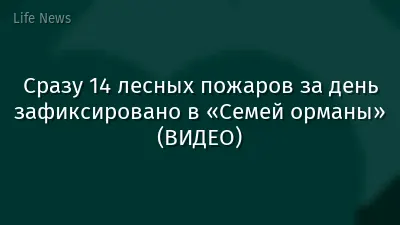 Сразу 14 лесных пожаров за день зафиксировано в «Семей орманы» (ВИДЕО)