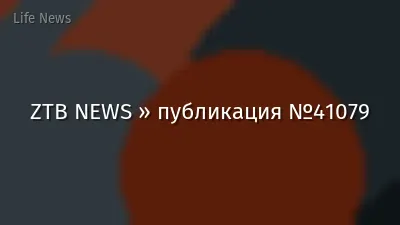 ZTB NEWS » публикация №41079