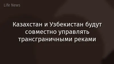 Казахстан и Узбекистан будут совместно управлять трансграничными реками