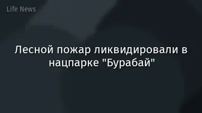 Лесной пожар ликвидировали в нацпарке "Бурабай"