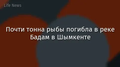 Почти тонна рыбы погибла в реке Бадам в Шымкенте