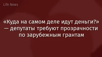 «Куда на самом деле идут деньги?» — депутаты требуют прозрачности по зарубежным грантам