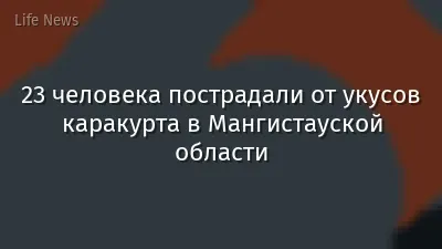 23 человека пострадали от укусов каракурта в Мангистауской области