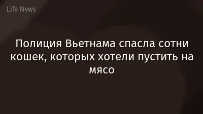 Полиция Вьетнама спасла сотни кошек, которых хотели пустить на мясо