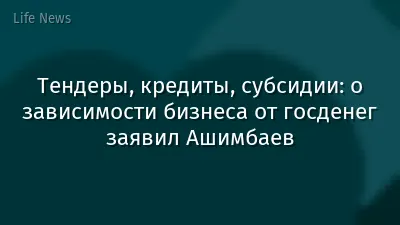 Тендеры, кредиты, субсидии: о зависимости бизнеса от госденег заявил Ашимбаев