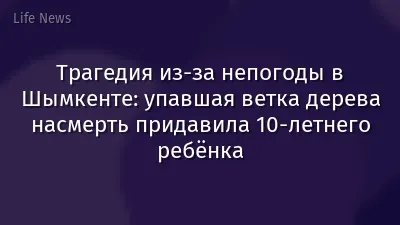 Трагедия из-за непогоды в Шымкенте: упавшая ветка дерева насмерть придавила 10-летнего ребёнка