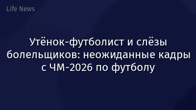 Утёнок-футболист и слёзы болельщиков: неожиданные кадры с ЧМ-2026 по футболу