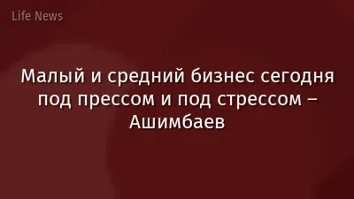 Малый и средний бизнес сегодня под прессом и под стрессом – Ашимбаев