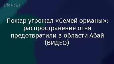 Пожар угрожал «Семей орманы»: распространение огня предотвратили в области Абай (ВИДЕО)