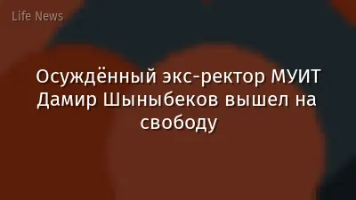 Осуждённый экс-ректор МУИТ Дамир Шыныбеков вышел на свободу
