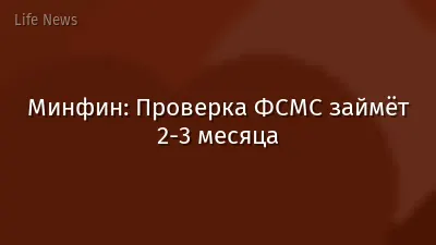 Минфин: Проверка ФСМС займёт 2-3 месяца
