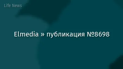 Elmedia » публикация №8698
