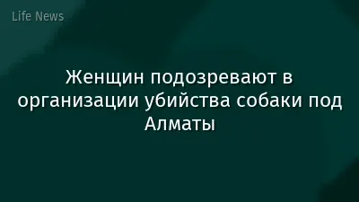 Женщин подозревают в организации убийства собаки под Алматы