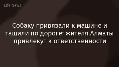 Собаку привязали к машине и тащили по дороге: жителя Алматы привлекут к ответственности