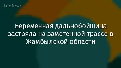 Беременная дальнобойщица застряла на заметённой трассе в Жамбылской области
