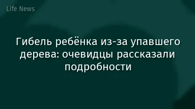 Гибель ребёнка из-за упавшего дерева: очевидцы рассказали подробности