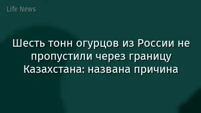 Шесть тонн огурцов из России не пропустили через границу Казахстана: названа причина