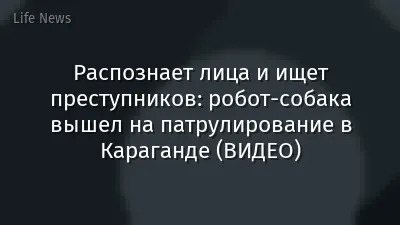 Распознает лица и ищет преступников: робот-собака вышел на патрулирование в Караганде (ВИДЕО)