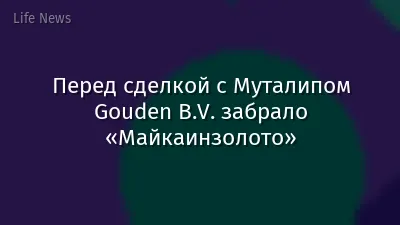 Перед сделкой с Муталипом Gouden B.V. забрало «Майкаинзолото»