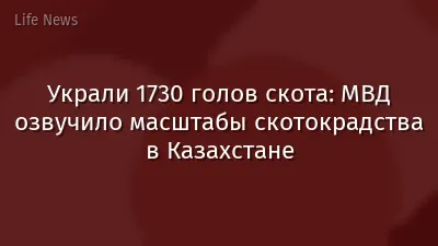 Украли 1730 голов скота: МВД озвучило масштабы скотокрадства в Казахстане