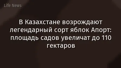 В Казахстане возрождают легендарный сорт яблок Апорт: площадь садов увеличат до 110 гектаров