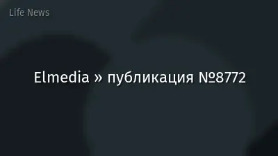 Elmedia » публикация №8772
