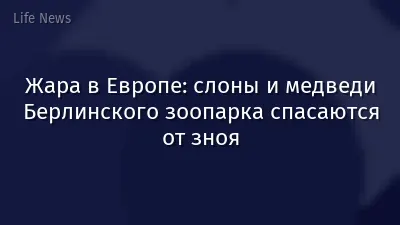 Жара в Европе: слоны и медведи Берлинского зоопарка спасаются от зноя