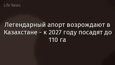 Легендарный апорт возрождают в Казахстане - к 2027 году посадят до 110 га