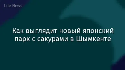 Как выглядит новый японский парк с сакурами в Шымкенте