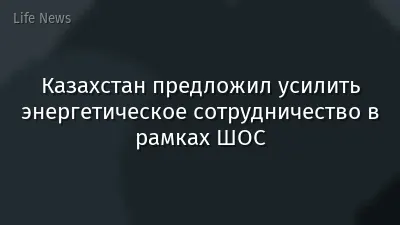 Казахстан предложил усилить энергетическое сотрудничество в рамках ШОС