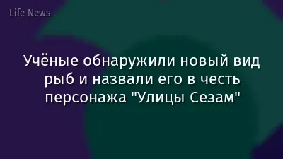 Учёные обнаружили новый вид рыб и назвали его в честь персонажа "Улицы Сезам"