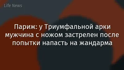 Париж: у Триумфальной арки мужчина с ножом застрелен после попытки напасть на жандарма