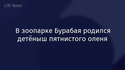 В зоопарке Бурабая родился детёныш пятнистого оленя