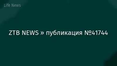 ZTB NEWS » публикация №41744
