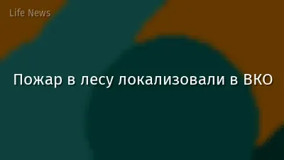 Пожар в лесу локализовали в ВКО