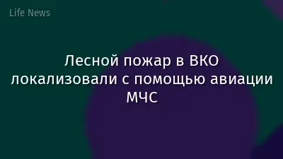 Лесной пожар в ВКО локализовали с помощью авиации МЧС