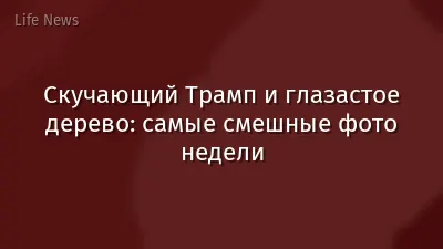Скучающий Трамп и глазастое дерево: самые смешные фото недели