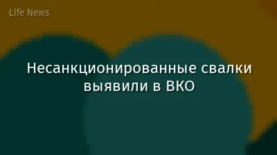 Несанкционированные свалки выявили в ВКО