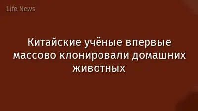 Китайские учёные впервые массово клонировали домашних животных