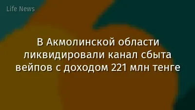 В Акмолинской области ликвидировали канал сбыта вейпов с доходом 221 млн тенге
