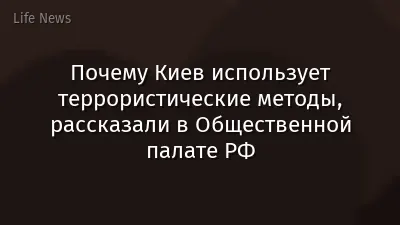 Почему Киев использует террористические методы, рассказали в Общественной палате РФ