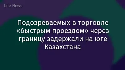 Подозреваемых в торговле «быстрым проездом» через границу задержали на юге Казахстана