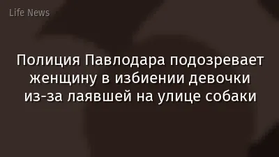 Полиция Павлодара подозревает женщину в избиении девочки из-за лаявшей на улице собаки