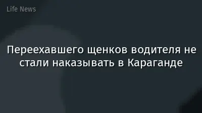 Переехавшего щенков водителя не стали наказывать в Караганде