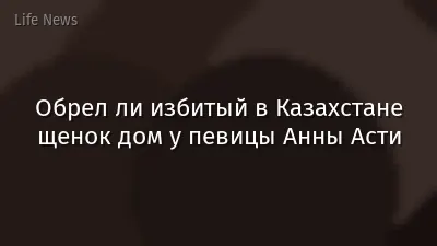 Обрел ли избитый в Казахстане щенок дом у певицы Анны Асти