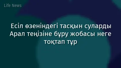 Есіл өзеніндегі тасқын суларды Арал теңізіне бұру жобасы неге тоқтап тұр