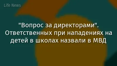 "Вопрос за директорами". Ответственных при нападениях на детей в школах назвали в МВД