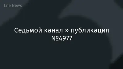 Седьмой канал » публикация №4977